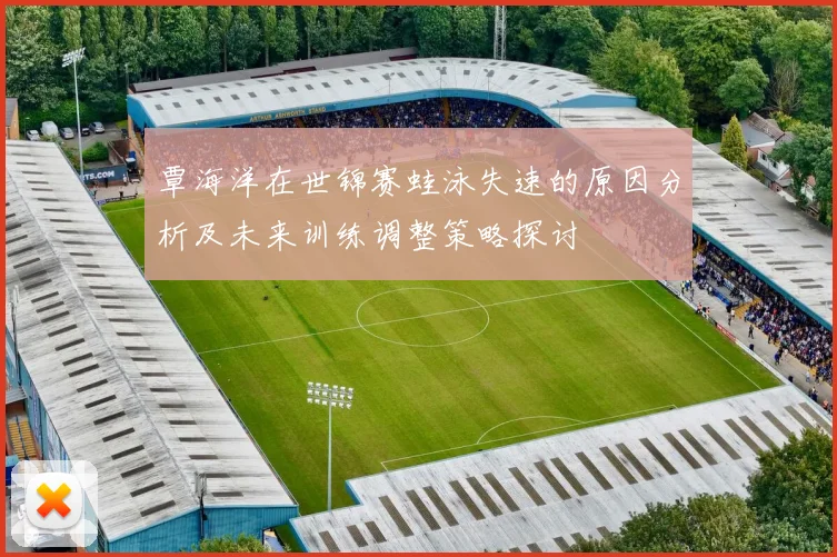 覃海洋在世锦赛蛙泳失速的原因分析及未来训练调整策略探讨